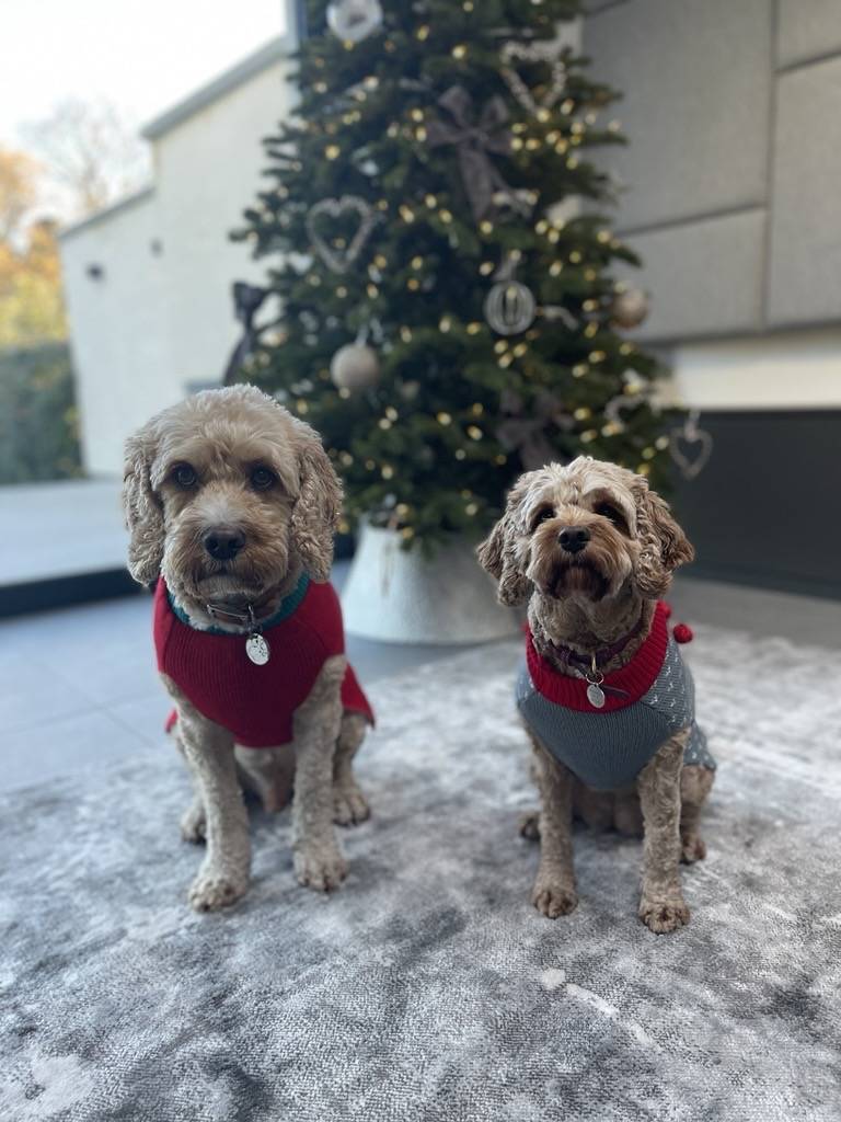 T and P xmas 2024